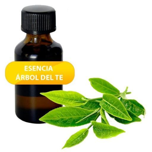 Herbi Feet &Auml;therisches Teebaum&ouml;l 100 ml